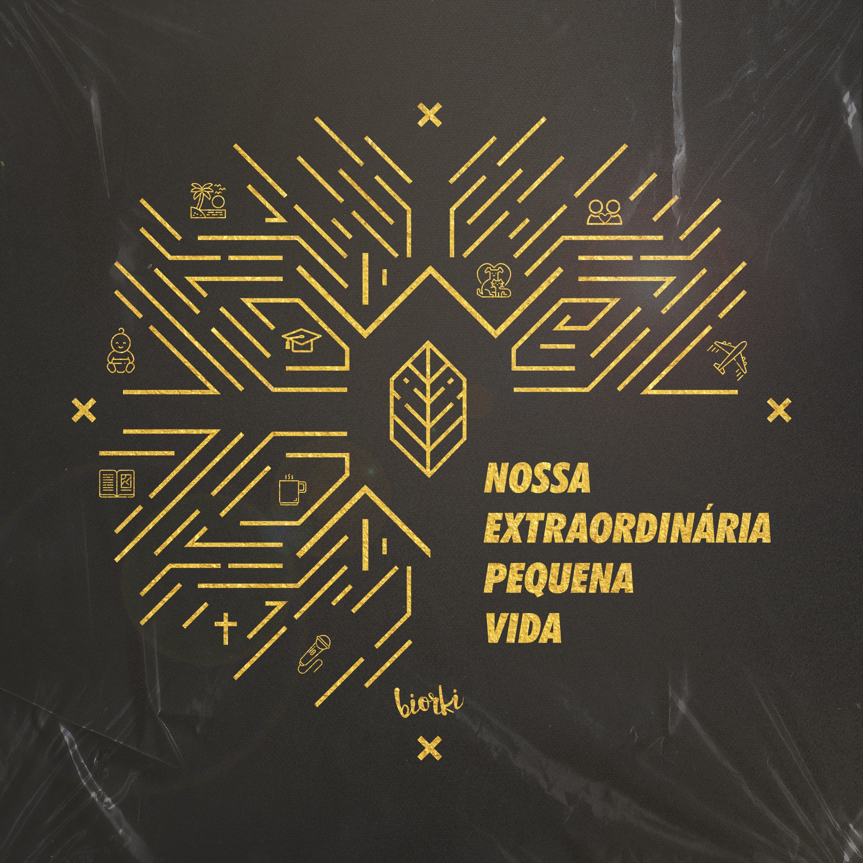 Capa do álbum Nossa Extraordinaria vida comum